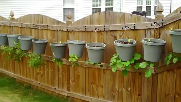Ultimate Guide: Sustainable and Ec-Friendly Herb and Vegatable Garden