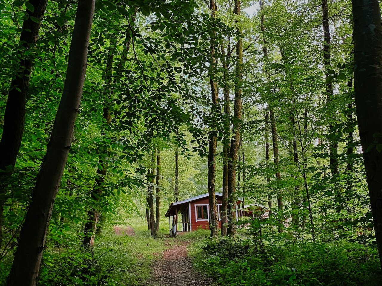 Finding Peace and Freedom